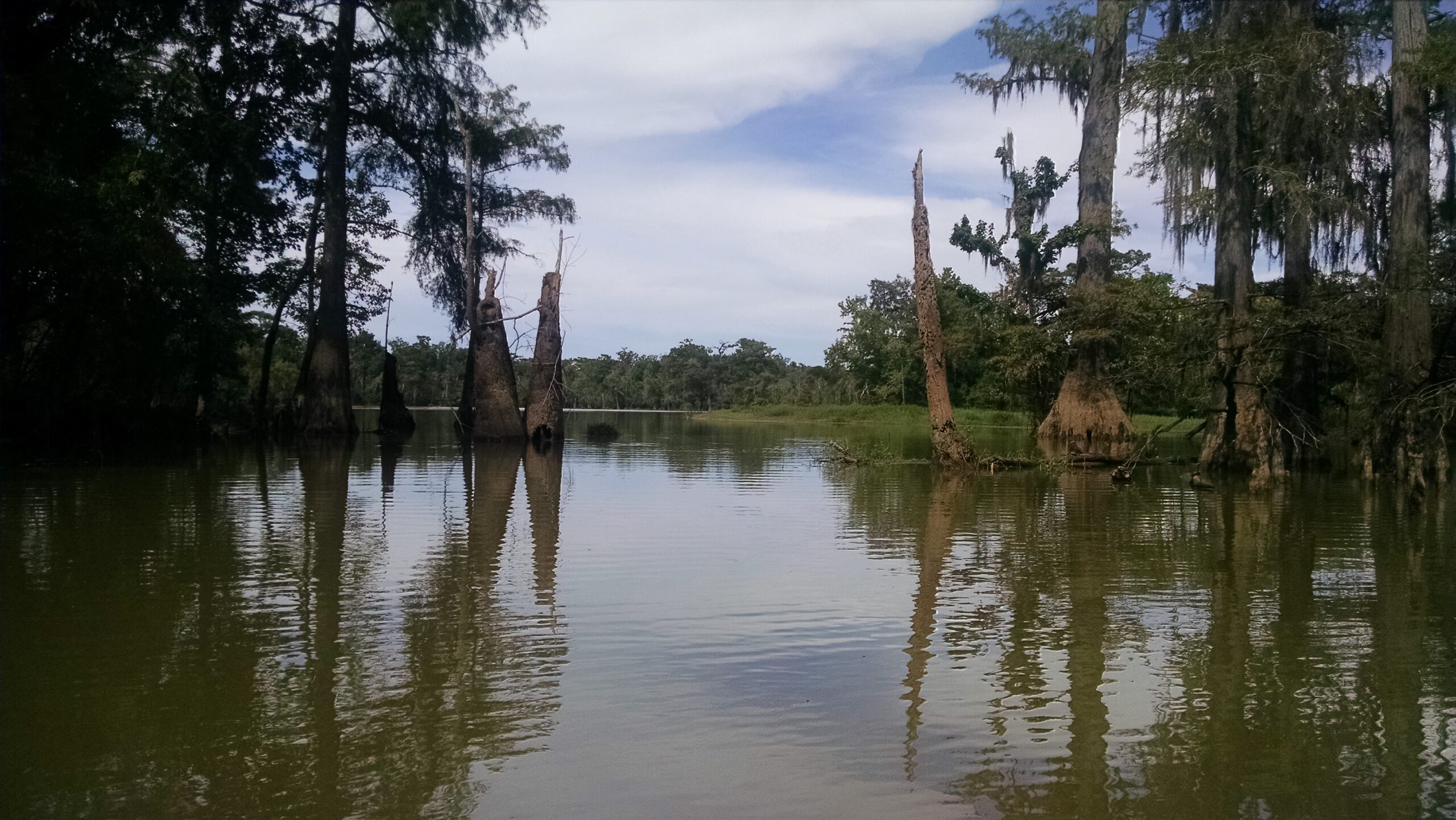 Cooks Lake Paddling Trail